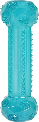 Zolux Pop Jouet Stick pour Chien Turquoise 5 x 5,5 x 15,8 cm - Jouets & Jeux Amazon France à 7.23€