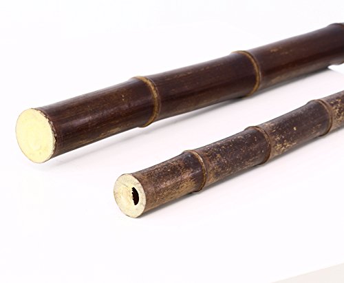 Bambus-Discount.com - Tube de bambou noir/marron 200 cm... - Jardin & Extérieur Amazon France à 7.76€