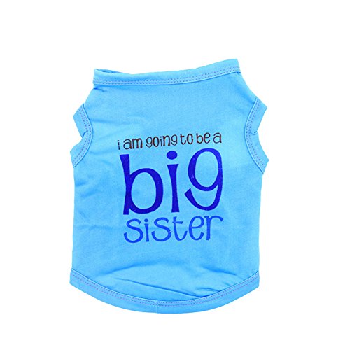 Ropa de protección para el sol para perro, sin mangas... - Animalerie Amazon Espagne à 2.83€