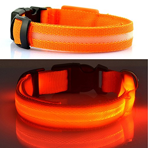 Gemini_mall® Super Bright LED Dog Safety Collar - High... - Animalerie Amazon Royaume-Uni à 1.79€