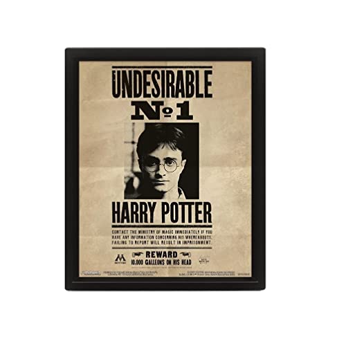 HARRY POTTER Poster in 3D (Undesirable Number 1 Design) 3D... - Maison & Cuisine Amazon Allemagne à 9.95€