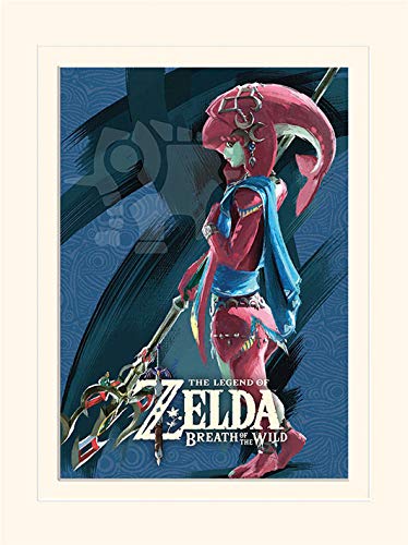 Nintendo The Legend of Zelda: Breath of The Wild (Divine... - High-Tech & Électronique Amazon France à 10.79€
