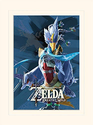 Nintendo The Legend of Zelda: Breath of The Wild (Divine... - High-Tech & Électronique Amazon France à 10.79€