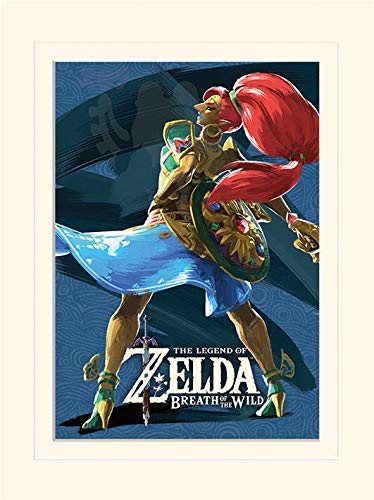 Nintendo The Legend of Zelda: Breath of The Wild (Divine... - Tech & Electronics Amazon France à 10.79€