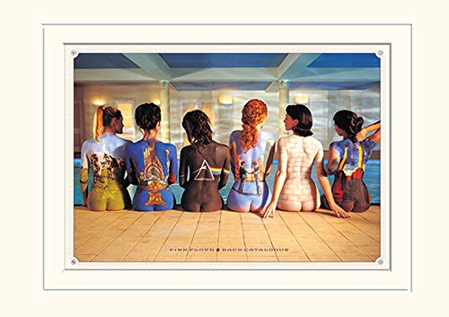 Pink Floyd (Back Catalogue 30 x 40 cm montée d'impression - Pet Supplies Amazon France à 10.79€