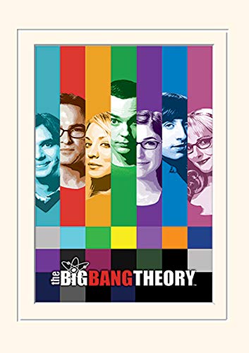 The Big Bang Theory (Signals 30 x 40 cm montée d'impression en promo à 10,79€ (-50%) sur Amazon FR