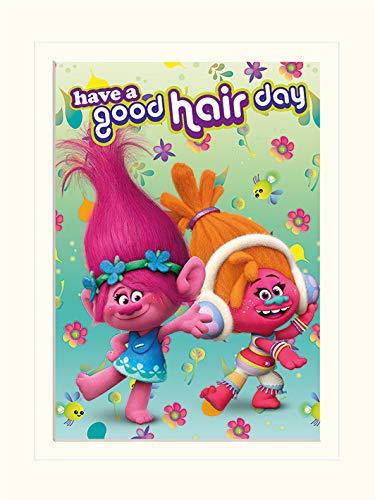 Trolls (Have a Good Hair Day 30 x 40 cm montée d'impression - Beauté & Parfums Amazon France à 10.79€