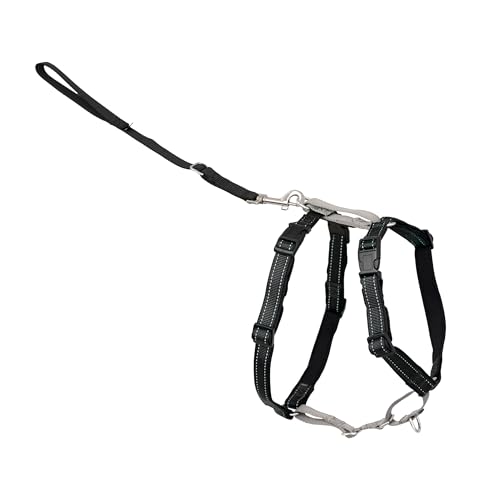 PetSafe 3 in 1 No-Pull Dog Harness For Small Dogs- Walk... - Animalerie Amazon Royaume-Uni à 18.04€