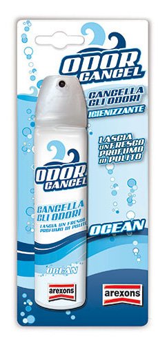 AREXONS ART.1925 ODOR CANCEL OCEAN - Auto & Moto Amazon Allemagne à 3.93€