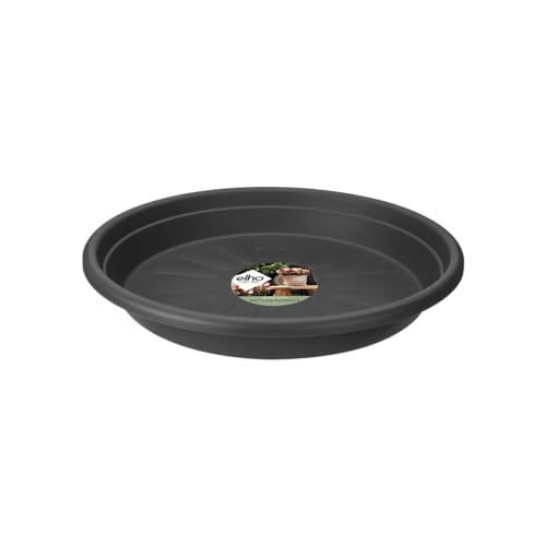 elho Universal Saucer Round 30 - Saucer for Indoor &... - Amazon Royaume-Uni à 2.29€
