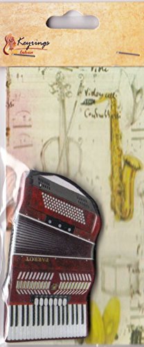 Accordian [MAGNET] Steel - Sports & Fitness Amazon Italie à 12.65€