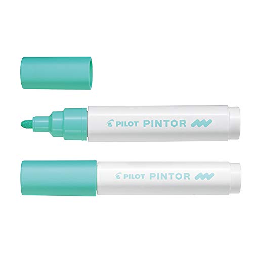 Pilot MK Pintor 4902505542046 Marqueur à détrempe Tract... en promo à 2,56€ (-66%) sur Amazon FR