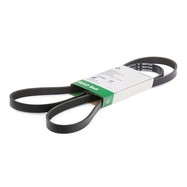 INA FB 5PK1750 Cinghia di distribuzione - Auto & Moto Amazon Italie à 8.07€