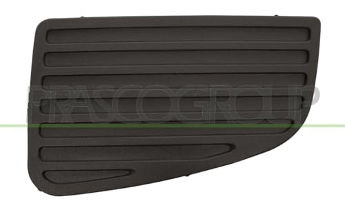 PRASCO Cornice, Fendinebbia VG9521250 - Nouvelle promo Amazon à 14.95€