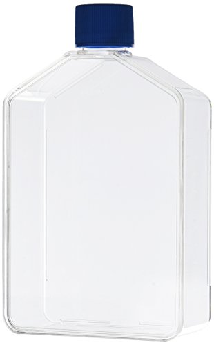 Corning Falcon 353028 - Fiaschetta rettangolare per coltura... - Amazon Italy à 153.13€