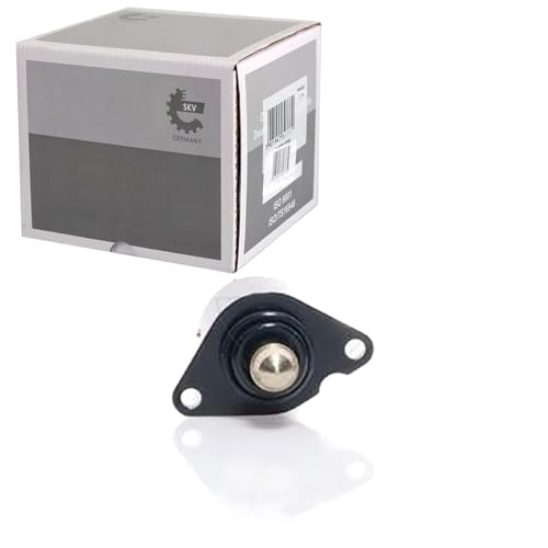 ESEN SKF 08skv017 Motor Salas - Auto & Moto en promo à 47.63€