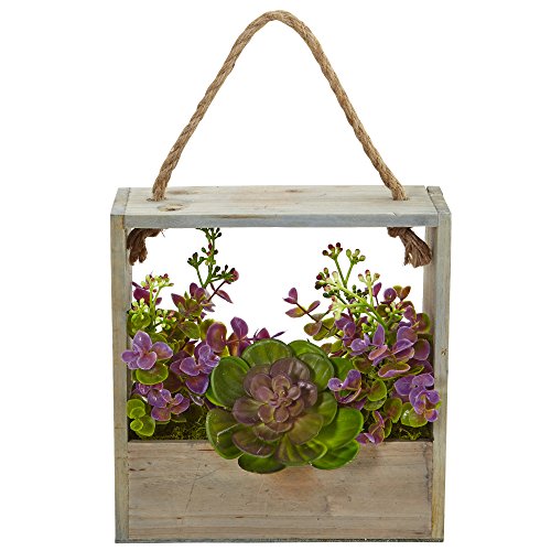 Presque Naturel Echeveria Succulente et d'eucalyptus Cadre... - Maison & Cuisine Amazon France à 55.31€