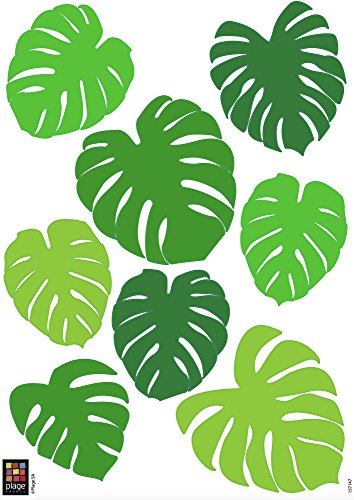 PLAGE 157147 Wall Adhesive Size S - Montsera (2 Sheets)... - Home & Kitchen Amazon UK à 6.88€