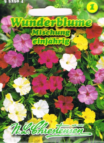 Wunderblume Mischung, einjährig,stark duftend... - Jardin & Extérieur Amazon Allemagne à 1.29€