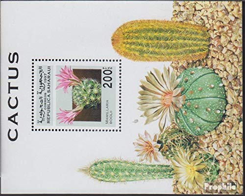 Sáhara edición el gobierno en el exilio sin validez en... - Jardin & Extérieur en promo à 2.08€