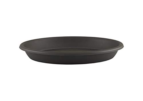 ROUND SAUCER 26CM ANTHRACITE - Amazon Allemagne à 1.99€