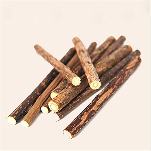 Greenlans Lot de 5 bâtonnets à mâcher naturels Matatabi... - Sports & Fitness Amazon France à 2.92€