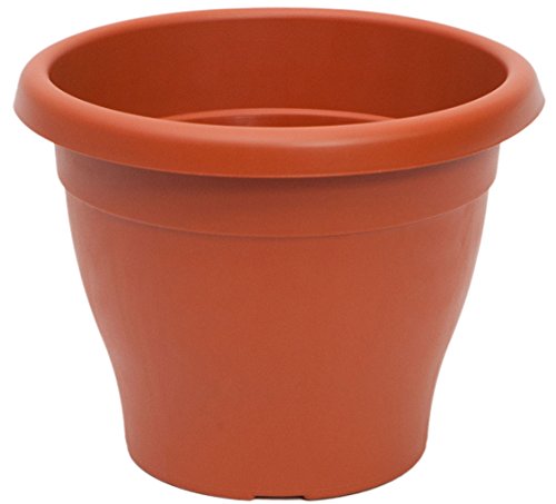 Maceta Mediterranea 25cm Color Terracota - Jardin & Extérieur Amazon Espagne à 2.30€