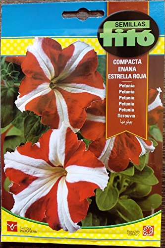 Semilla Petunia compacta enana estrella roja - Semillas Fitó - Animalerie Amazon Espagne à 1.45€