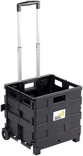 Linea Garden Friend c1299040 Wagen Transport, Schwarz, 38 x... - Sports & Fitness Amazon Allemagne à 32.67€