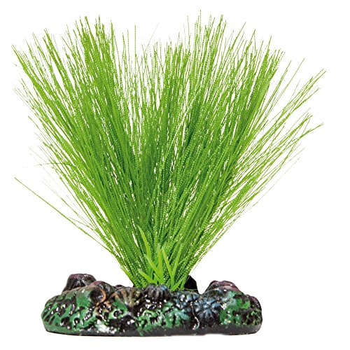 ICA Aquatic Plants AP1114 Miriophyllium Soie Plante... - Jardin & Extérieur Amazon France à 7.48€