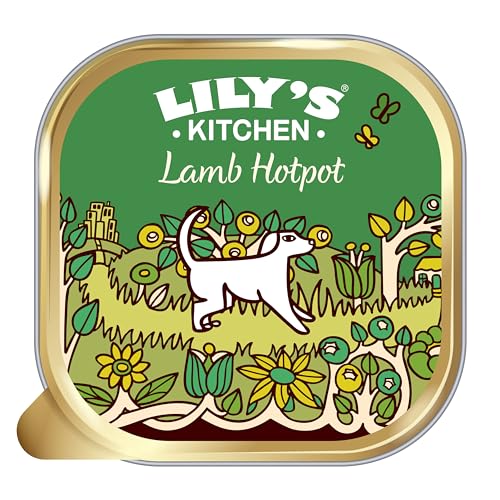 Lilys Kitchen Nassfutter für Hunde - Lamm mit Kürbis... - Sports & Fitness Amazon Germany à 8.99€