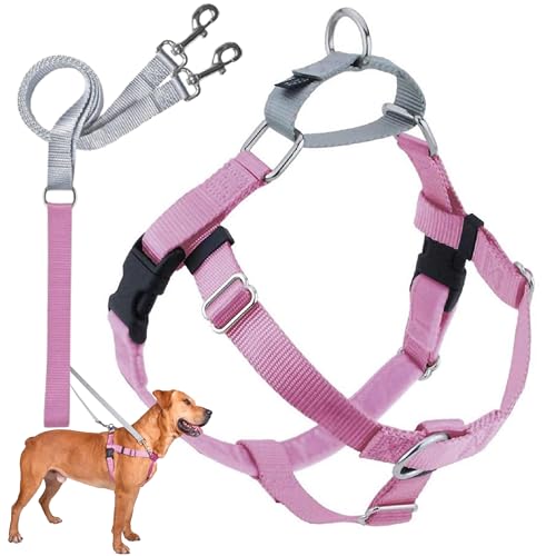 2 Hounds Design Arnés para Perro con Correa, tamaño... - Animalerie Amazon Espagne à 52.54€