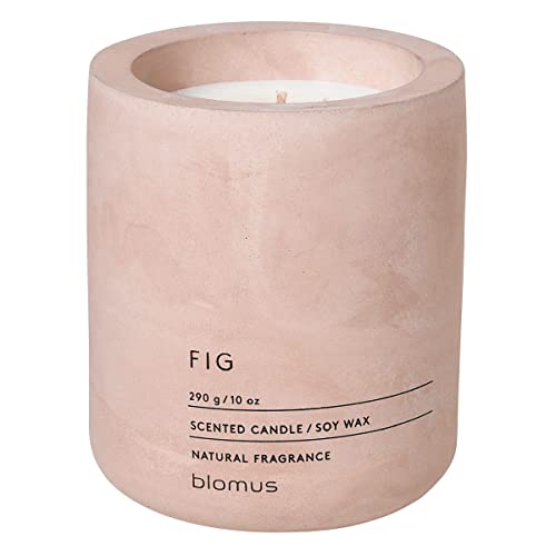 blomus 65655 Blomus Fraga Scented Candle Rose Dust L Soy... - Beauty & Fragrances Amazon UK à 12.47€