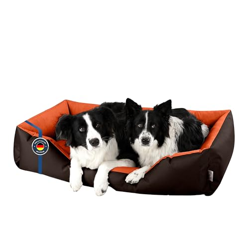 BedDog Hundebett XXXL - Hundekissen - Hundekorb... - Maison & Cuisine Amazon Allemagne à 28.04€