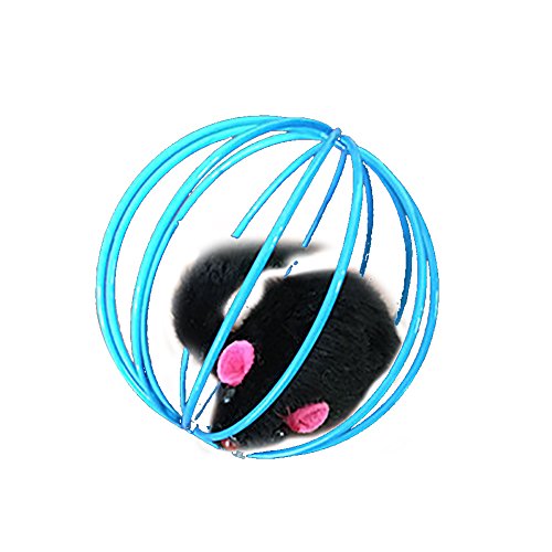 Livecity Balle interactive pour chat, Souris dans une cage... - Animalerie Amazon France à 0.53€