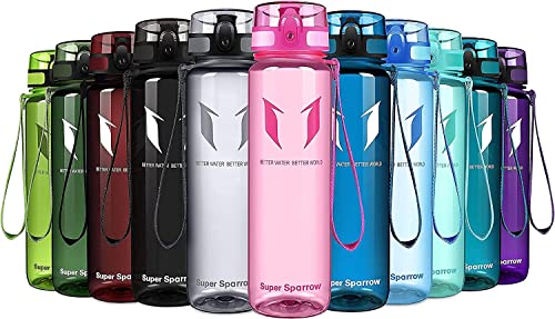 Super Sparrow Bouteille d'eau - Gourde - 500ml - sans BPA... - Sports & Fitness Amazon France à 13.59€