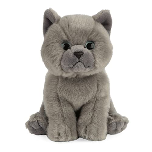 Living Nature Gattino Grigio British Shorthair, Peluche di... - Beauty & Fragrances Amazon Italy à 19.99€