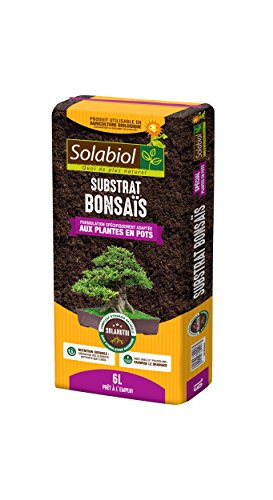 SOLABIOL TERBON6 Terreau Bonsaïs, 6 liters L, 6L, 21 x 50 x... - Nouvelle promo Amazon à 8.99€
