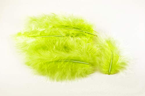20 piume di lanugine 8-12 cm (verde maigrano 550 / verde... - Loisirs Créatifs Amazon Italie à 2.30€
