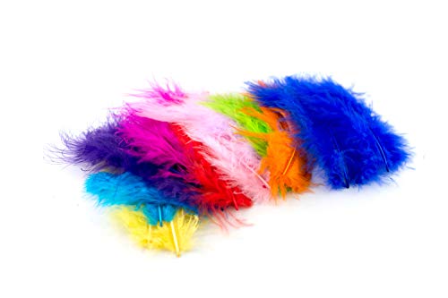 Lot de 20 plumes de duvet de 8 à 12 cm (mélange... - Maison & Cuisine Amazon France à 2.30€