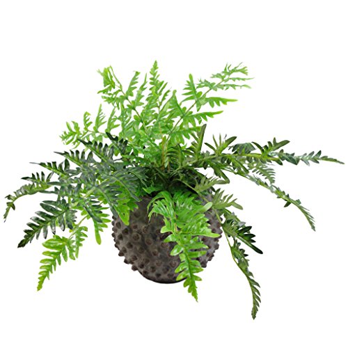 Leaf Large Artificial Fern Plant with Pot - Jardin & Extérieur Amazon Royaume-Uni à 38.40€