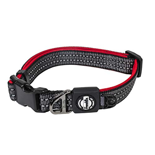 Franklin Pet Supply Nylon Dog Collar – Reflective Co™ –... - Animalerie en promo à 6.90€