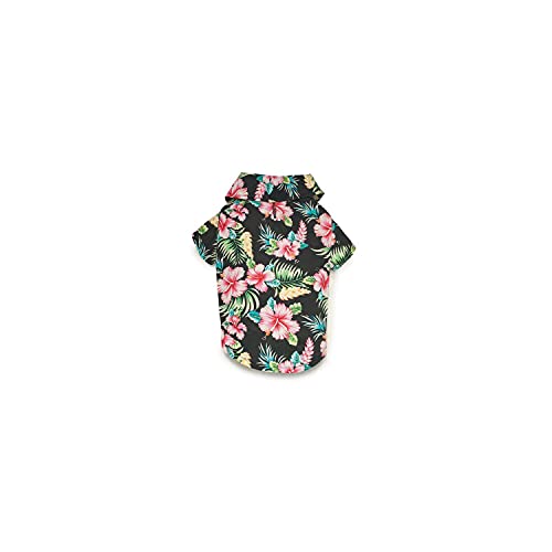 Casual Canine Camisa para Perro, Algodón, Negro, XL - Deal du jour à 6.51€