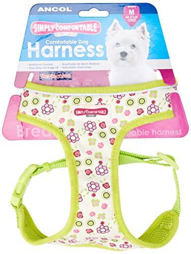 Ancol Lime Flowers Dog Harness – Adjustable Nylon Straps... - Pet Supplies Amazon UK à 6.29€