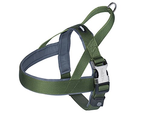 Nobby Norwegergeschirr Classic Preno Royal, olivgrün L:... - Amazon Germany à 10.96€