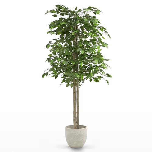 MAIA SHOP Ficus Artificial 150 cm con Tronco Natural... - Jardin & Extérieur Amazon Espagne à 59.90€