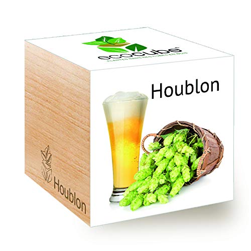 Ecocube Hops, kit de cerveza artesanal para cultivar tu... - Maison & Cuisine Amazon Espagne à 4.63€
