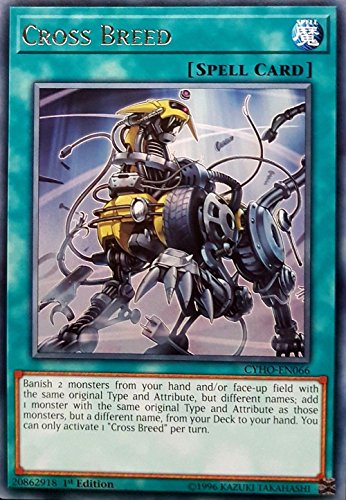 Yu-Gi-Oh! - Cross Breed - CYHO-EN066 - Rare - 1st Edition... - Sports & Fitness Amazon Royaume-Uni à 2.97€