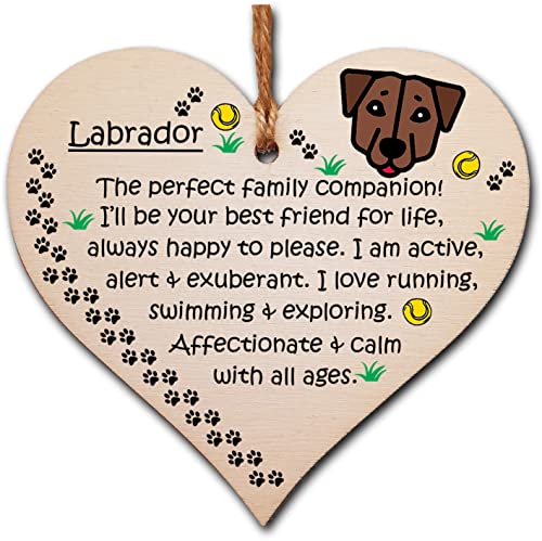 Handmade Wooden Hanging Heart Plaque Gift Perfect for Dog... - Animalerie Amazon Royaume-Uni à 2.00€