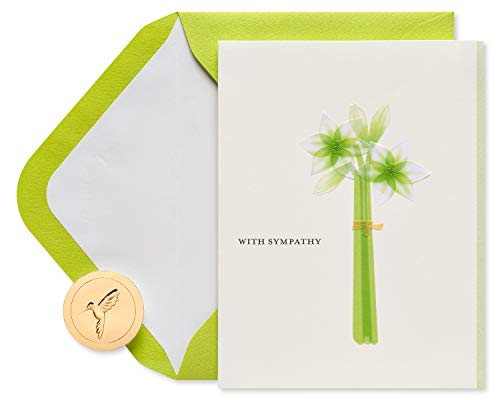 Papyrus Sympathy Card (Comfort and Support) - Auto & Moto Amazon Royaume-Uni à 10.29€